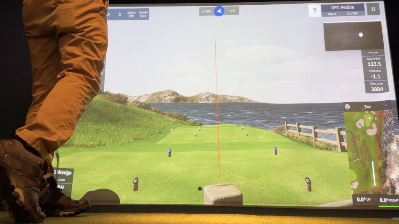 Willmar indoor golf cages simulator follow through